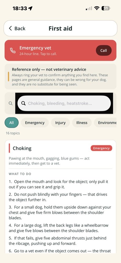 First aid topic for choking with numbered steps