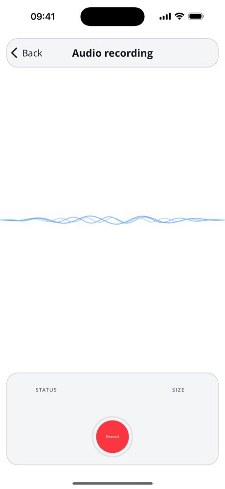 Recorder, audio library